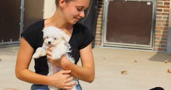 romane pet sitter à TOURS 37000_9