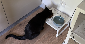 francky pet sitter à LE RAINCY 93340_2