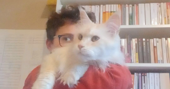 léon pet sitter à LONGEVILLE LES METZ 57050_0