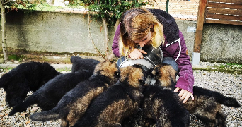 Bertrand pet sitter à ARPENANS 70200_1