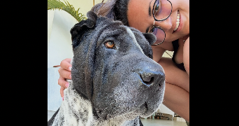 manihini pet sitter à MONTPELLIER 34000_7