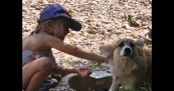remi pet sitter à BLAGNAC 31700_3