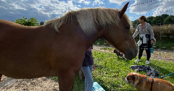 elisa pet sitter à ST MESMES 77410_3