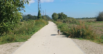zoé dog sitter à PIERRELAYE 95220_2