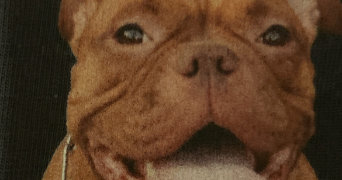 aline pet sitter à BRUNOY 91800_2
