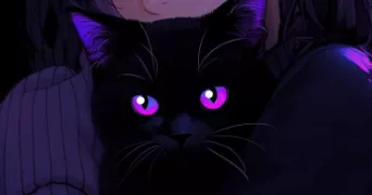 lili pet sitter à NOEUX LES MINES 62290