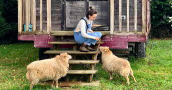maïa pet sitter à SARTROUVILLE 78500_3
