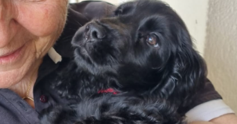 cyrielle pet sitter à SURESNES 92150_4