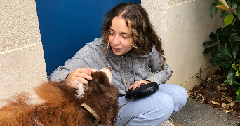 shana pet sitter à BRIE COMTE ROBERT 77170_7