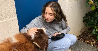 shana pet sitter à BRIE COMTE ROBERT 77170