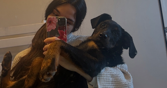 laure pet sitter à BUCY LE ROI 45410_4