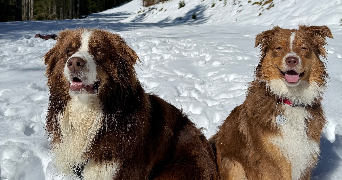 loïs pet sitter à SOURCIEUX LES MINES 69210_6