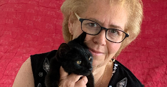 helene cat sitter à VILLEPARISIS 77270_0