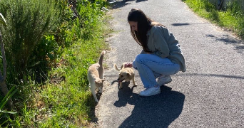 andréa pet sitter à LE PERREUX SUR MARNE 94170_1