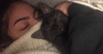 anouk pet sitter à COURBEVOIE 92400_10