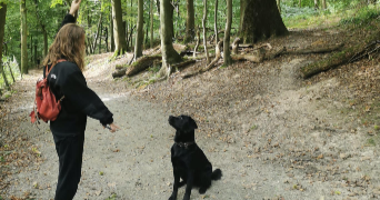 maëlla pet sitter à LES SORINIERES 44840_2