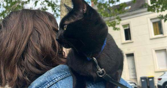 lisa pet sitter à TOURS 37000_4