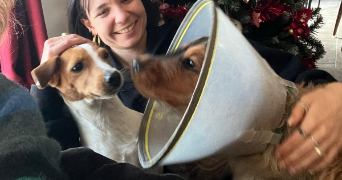 chloé pet sitter à TOULOUSE 31000_1