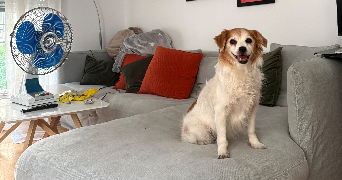 jeanne pet sitter à PARIS 14 75014_2