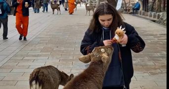 catinca pet sitter à QUIMPER 29000_3