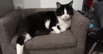 anais pet sitter à LA CRAU 83260_3