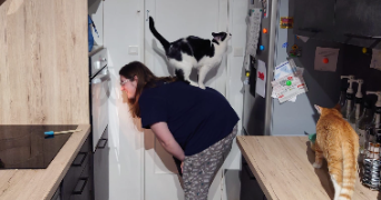 cassandre pet sitter à CLERMONT FERRAND 63100_0