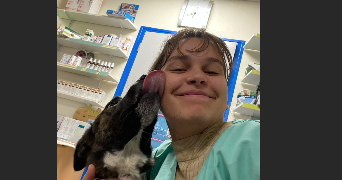 tiphaine pet sitter à MICHERY 89140_0