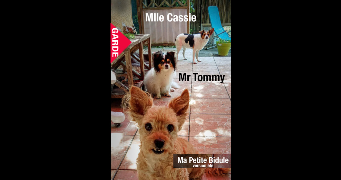 helene pet sitter à MONTPELLIER 34000_1