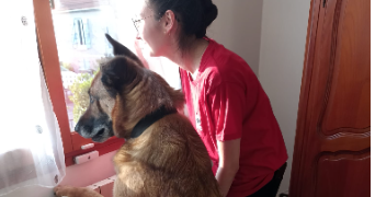 elisa pet sitter à NANCY 54000_2
