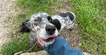 fanny pet sitter à GRENOBLE 38000_2