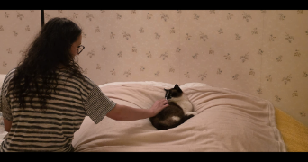 alexia pet sitter à CHARNAY LES MACON 71850_0