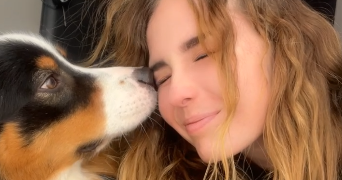 morgan pet sitter à TULLE 19000_1