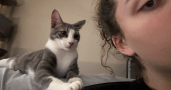 kelly pet sitter à LAIZE 71870_4