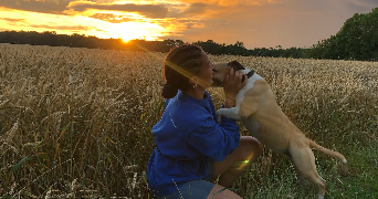 dagba pet sitter à TORCY 77200_0