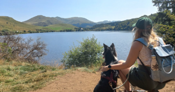 charlotte pet sitter à LA CROIX HELLEAN 56120_0