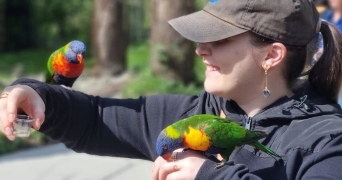 chloé pet sitter à LYON 03 69003_6