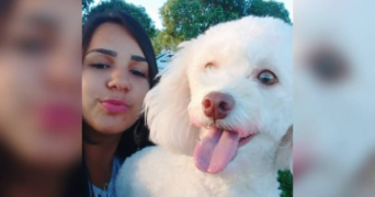 izett pet sitter à LEUVILLE SUR ORGE 91310_6