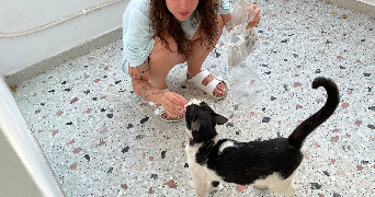 solène pet sitter à FRANCHEVILLE 69340_4
