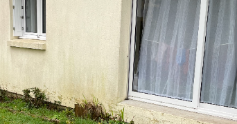 leslie pet sitter à LANGONNET 56630_4