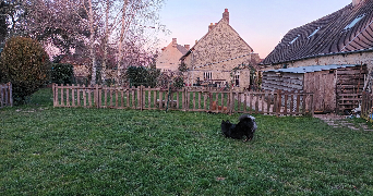 brigitte dog sitter à Boubiers 60240_2