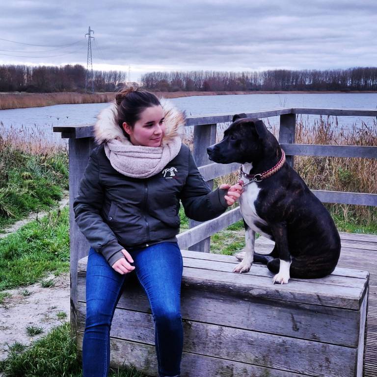 claire pet sitter à Bergues 59380