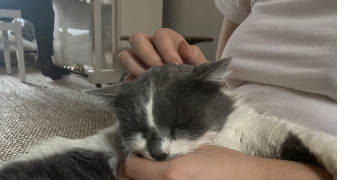 marin-e pet sitter à Sérignan du comtat 84830_4