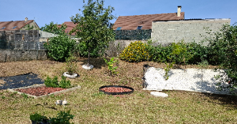 coralie pet sitter à NEMOURS 77140_1