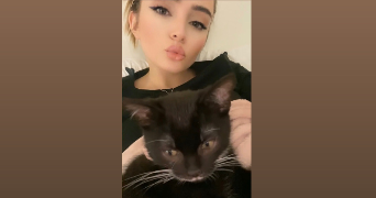 alicia pet sitter à AVON 77210_0