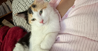 zoé  pet sitter à NIORT 79000_1