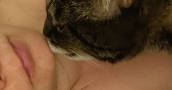 nathalie pet sitter à ROSNY SOUS BOIS 93110_4