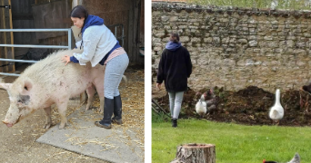 marilou pet sitter à LA ROCHELLE 17000_3