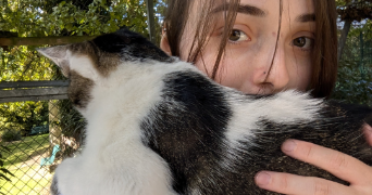 malou pet sitter à ELANCOURT 78990_5