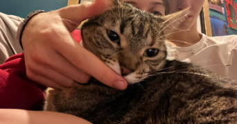 clélia pet sitter à BORDEAUX 33800_3