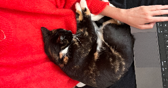 margot pet sitter à Lyon 69003_1